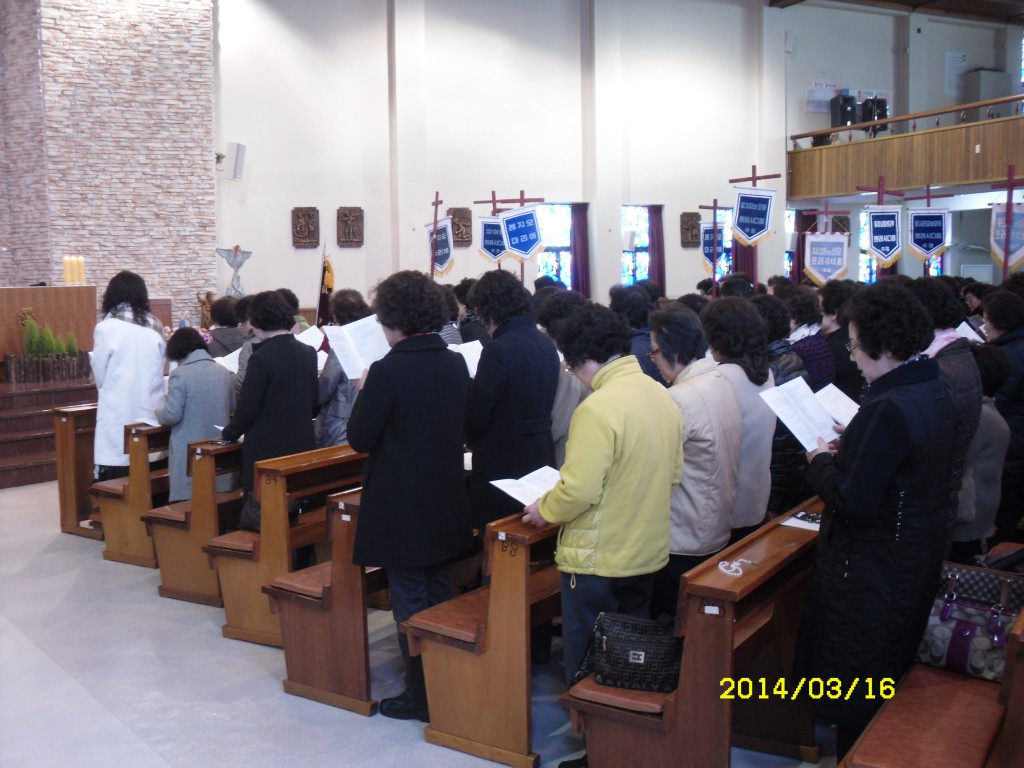 SDC11980.JPG