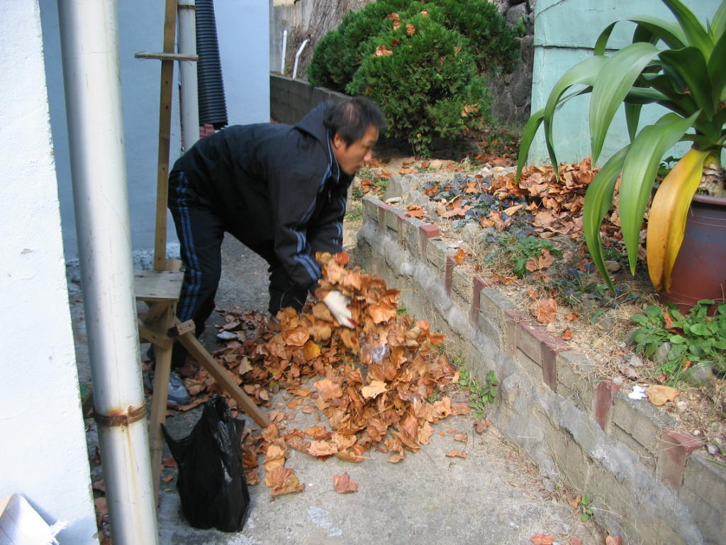 IMG 06-12-41.jpg