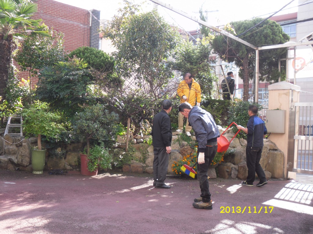 SDC19372.JPG