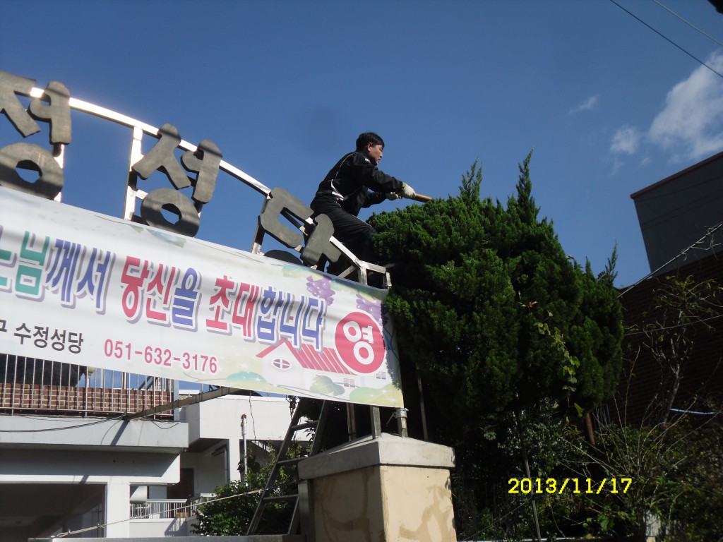 SDC19368.JPG