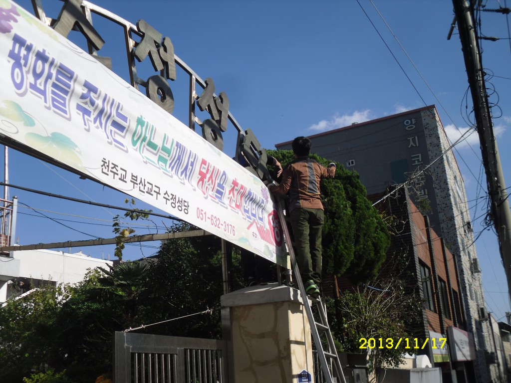 SDC19374.JPG