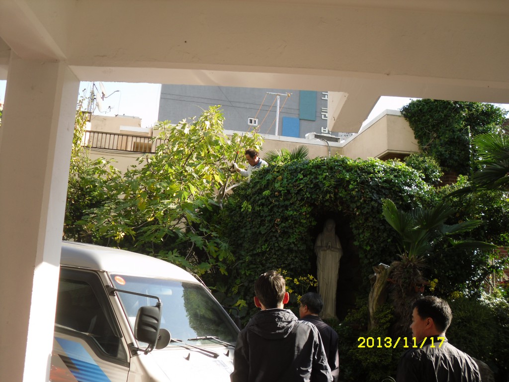 SDC19381.JPG