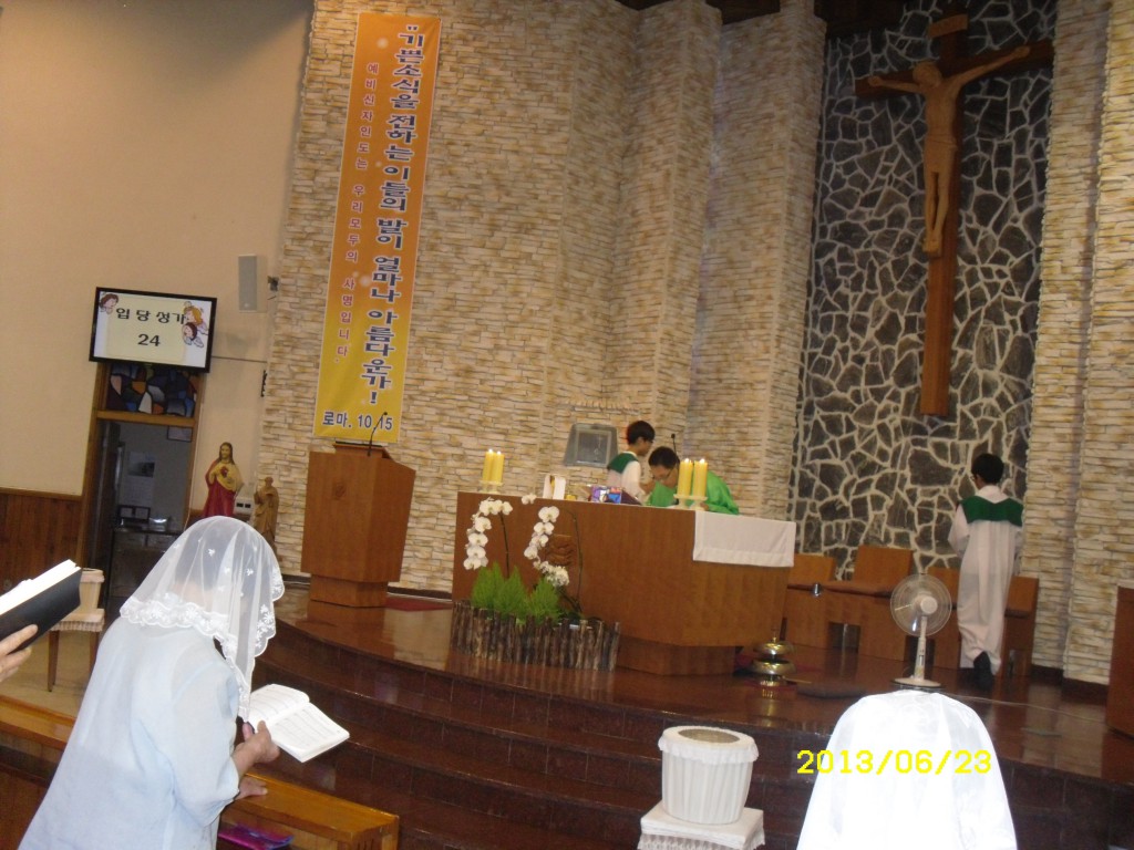 SDC17300.JPG