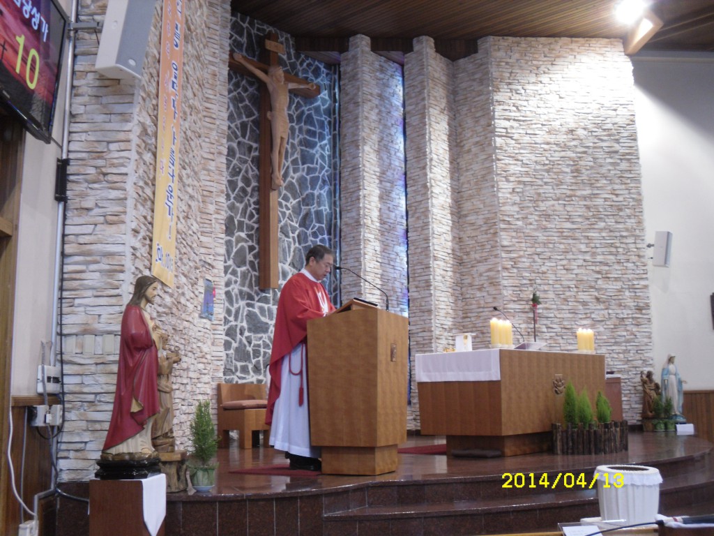 SDC12434.JPG