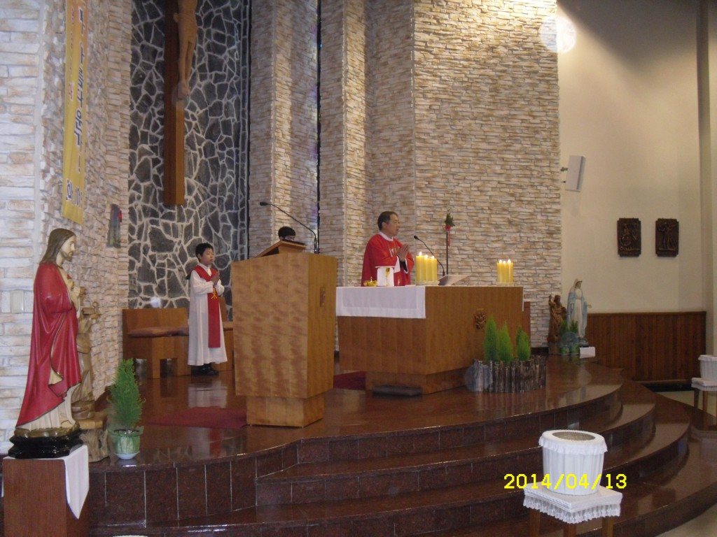 SDC12432.JPG