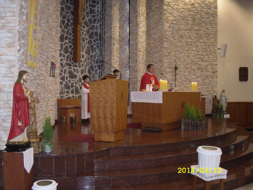 SDC12431.JPG