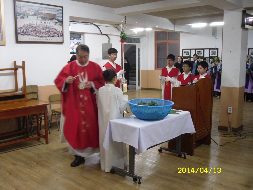 SDC12409.JPG