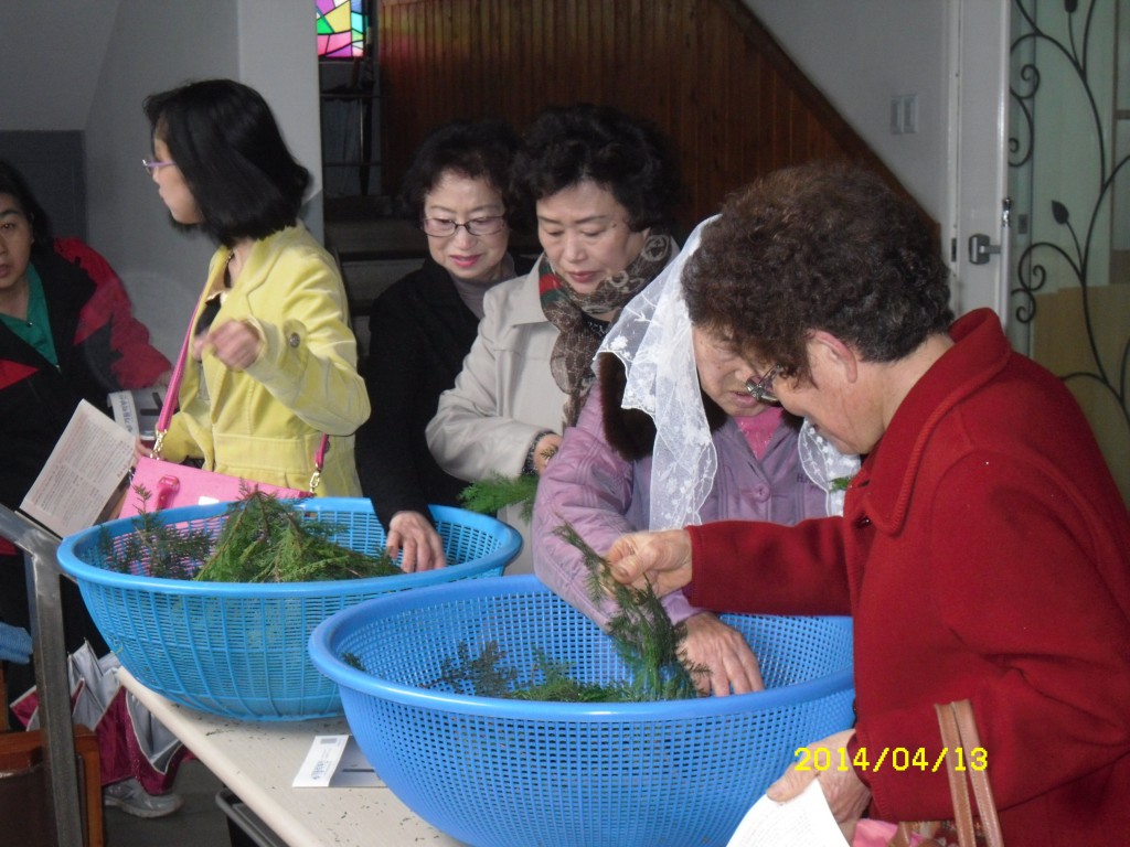 SDC12391.JPG