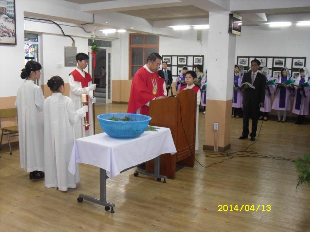 SDC12417.JPG