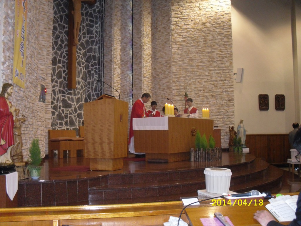 SDC12436.JPG