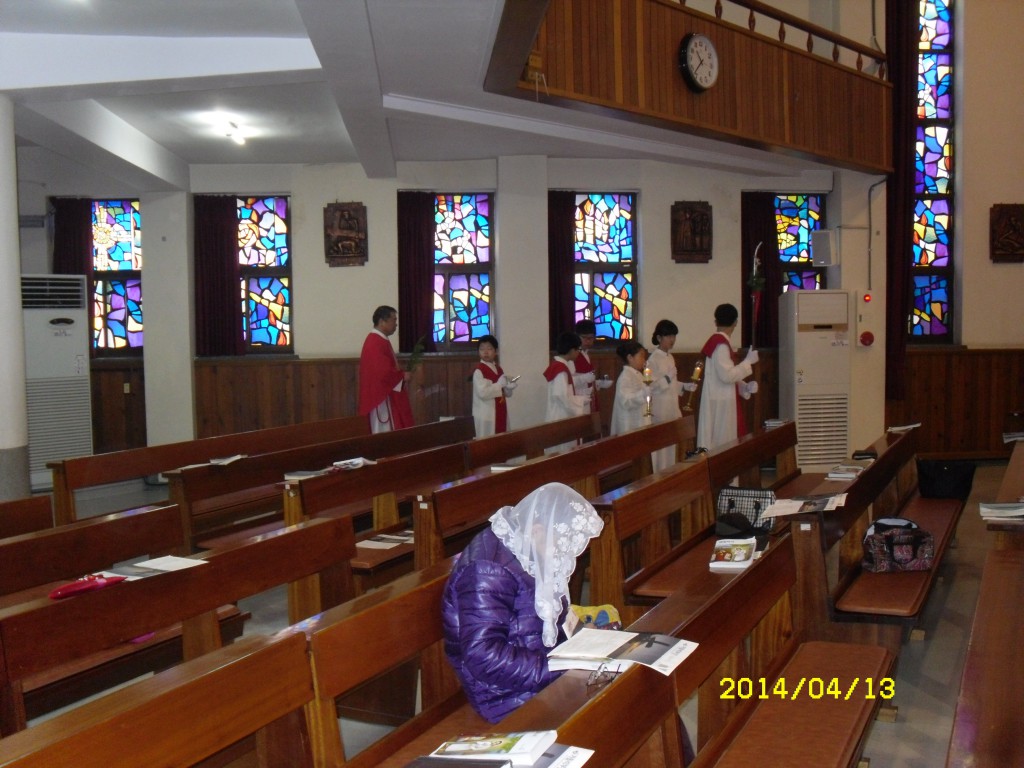 SDC12425.JPG