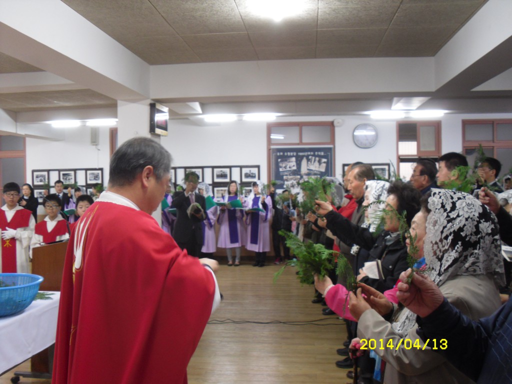 SDC12410.JPG