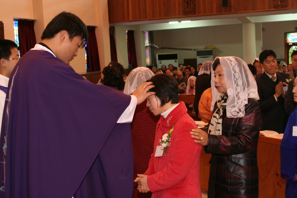img 07-434.jpg