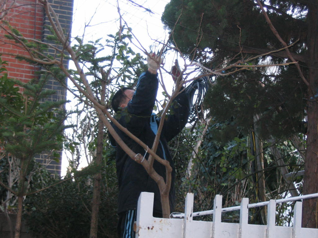 img 07-8.jpg