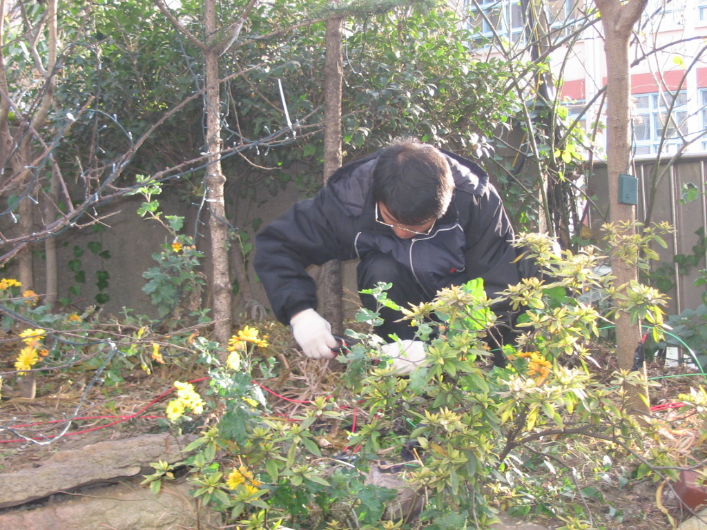 img 07-469.jpg