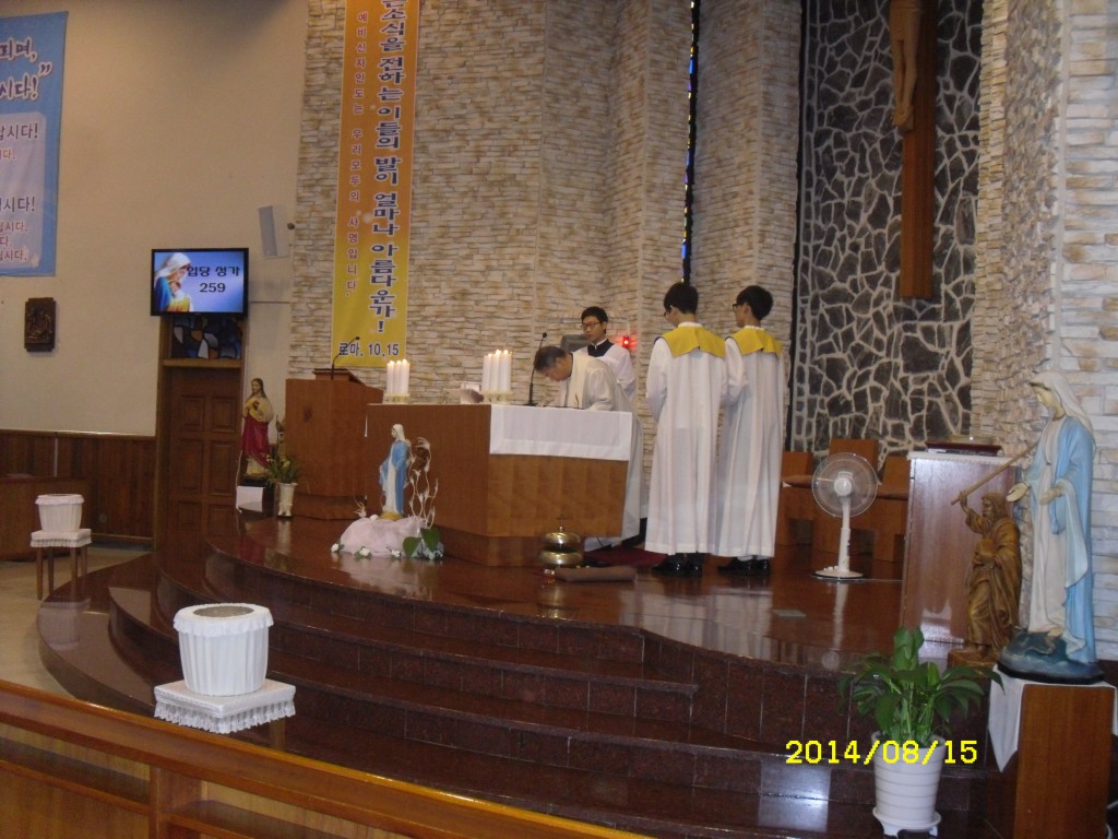 SDC15070.JPG