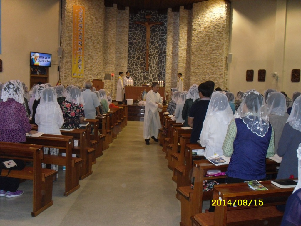 SDC15120.JPG