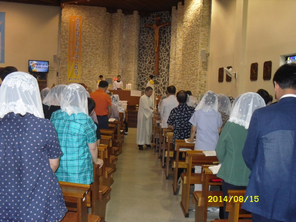 SDC15116.JPG