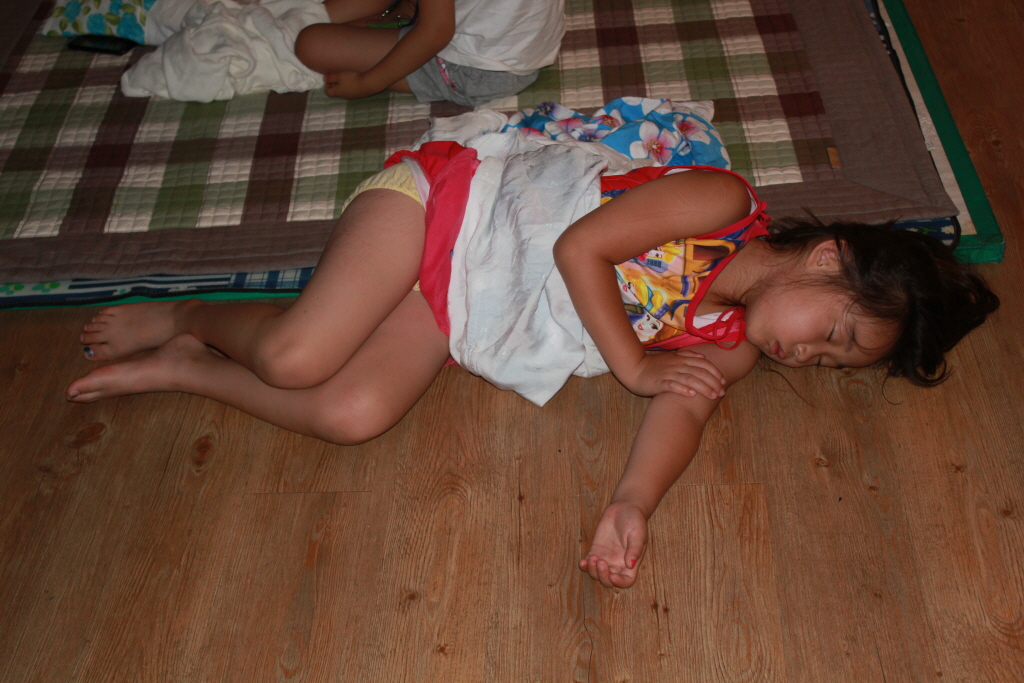 1IMG_2427.JPG
