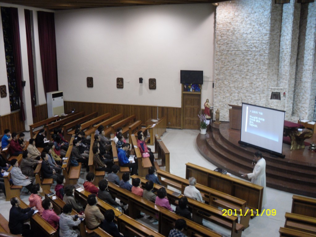 SDC17494.JPG