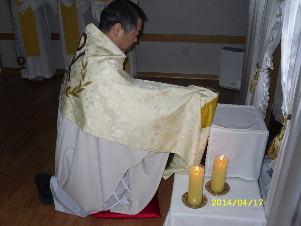 SDC12628.JPG