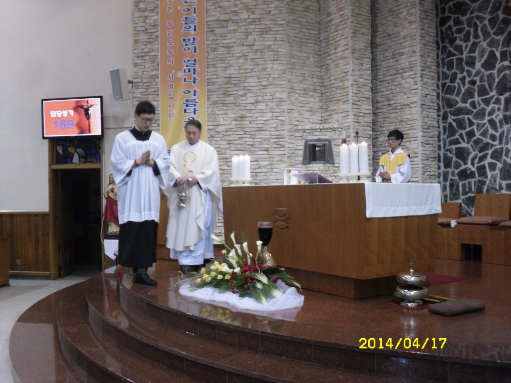 SDC12551.JPG