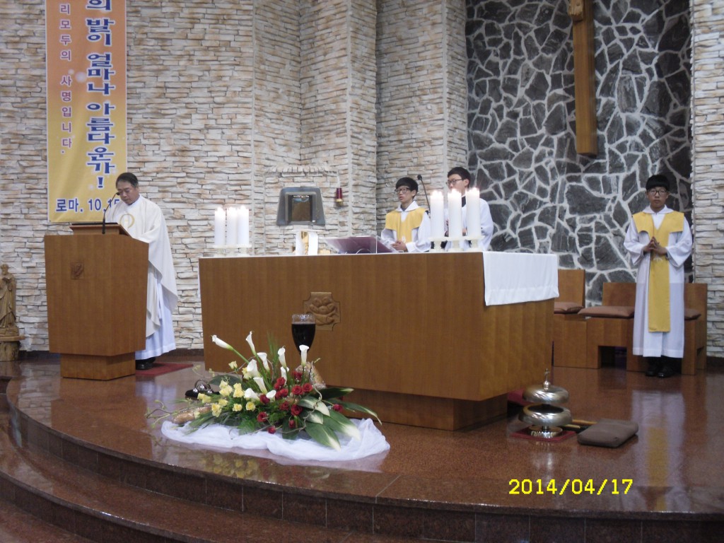 SDC12585.JPG