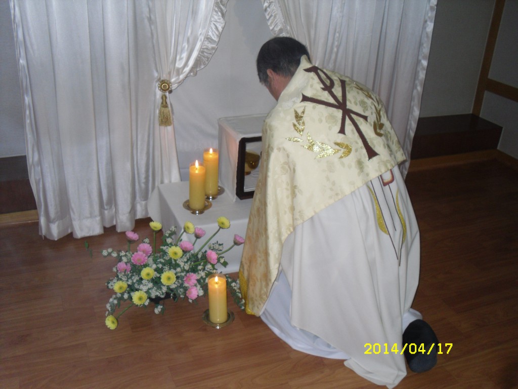 SDC12629.JPG