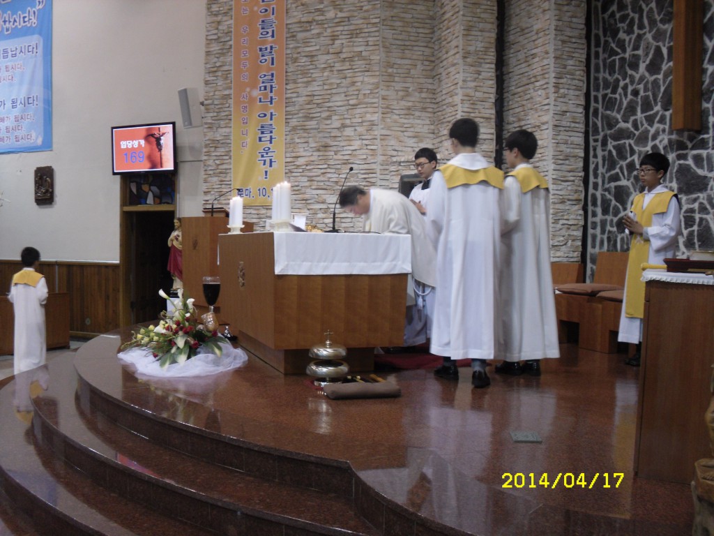 SDC12547.JPG