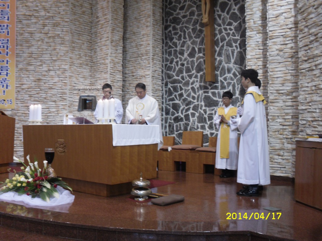 SDC12550.JPG