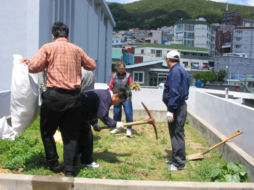 img 08-210.jpg