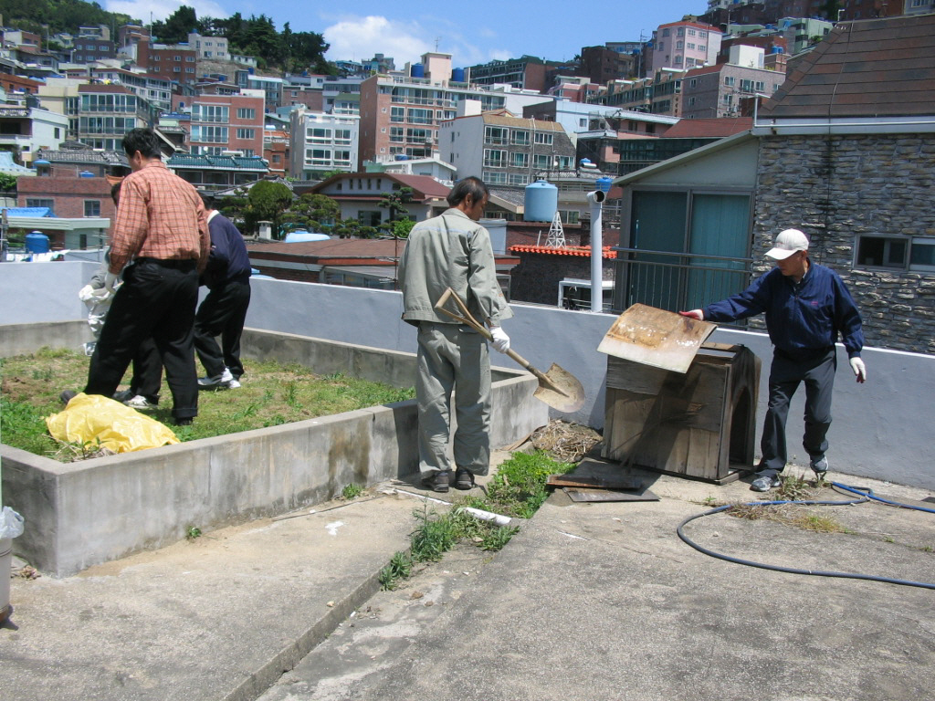 img 08-213.jpg