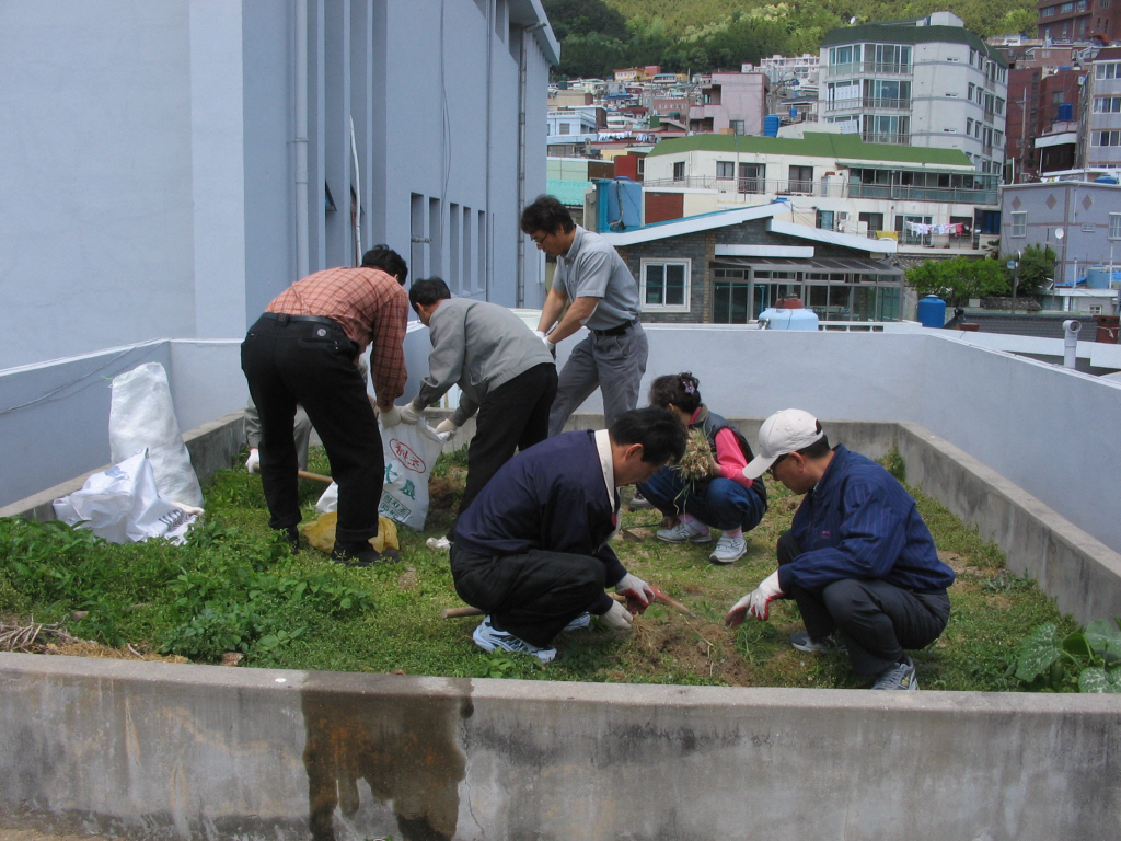img 08-211.jpg
