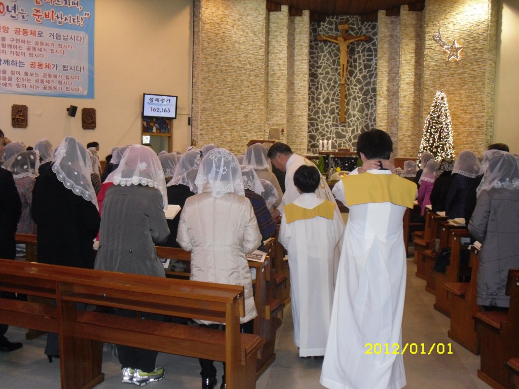 SDC18587.JPG