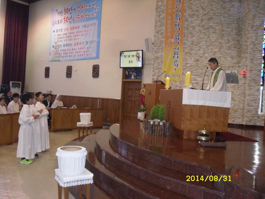 SDC15331.JPG