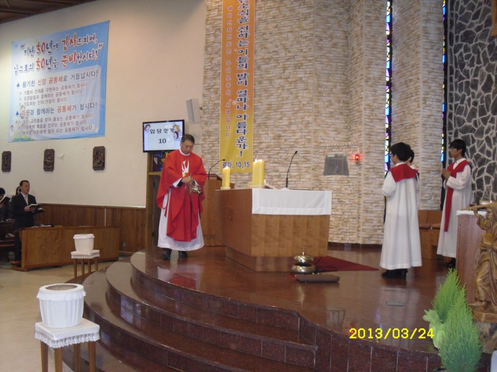 SDC14785.JPG