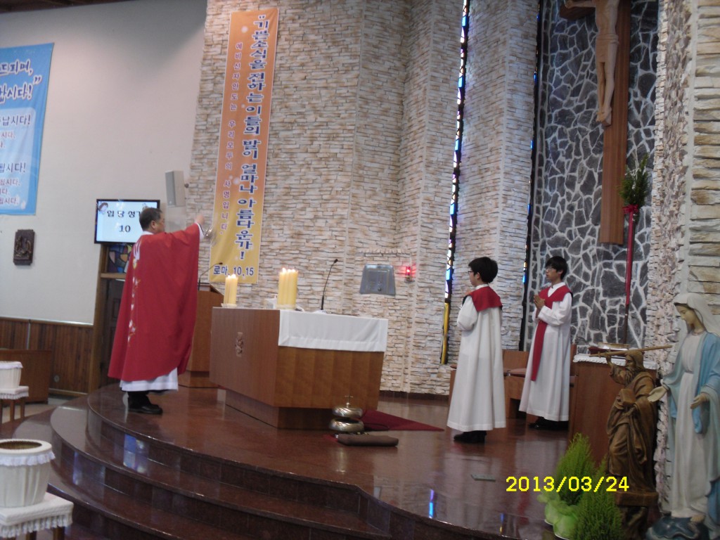 SDC14787.JPG