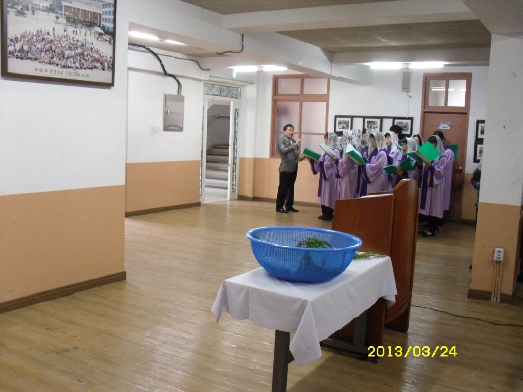 SDC14761.JPG