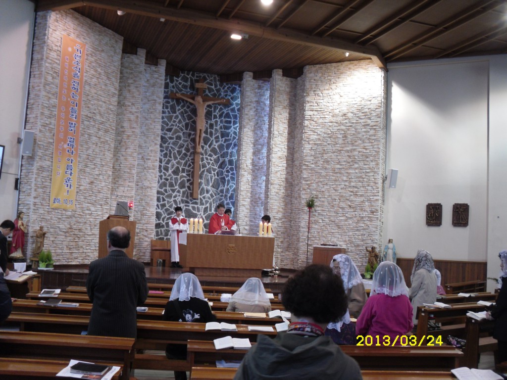 SDC14779.JPG