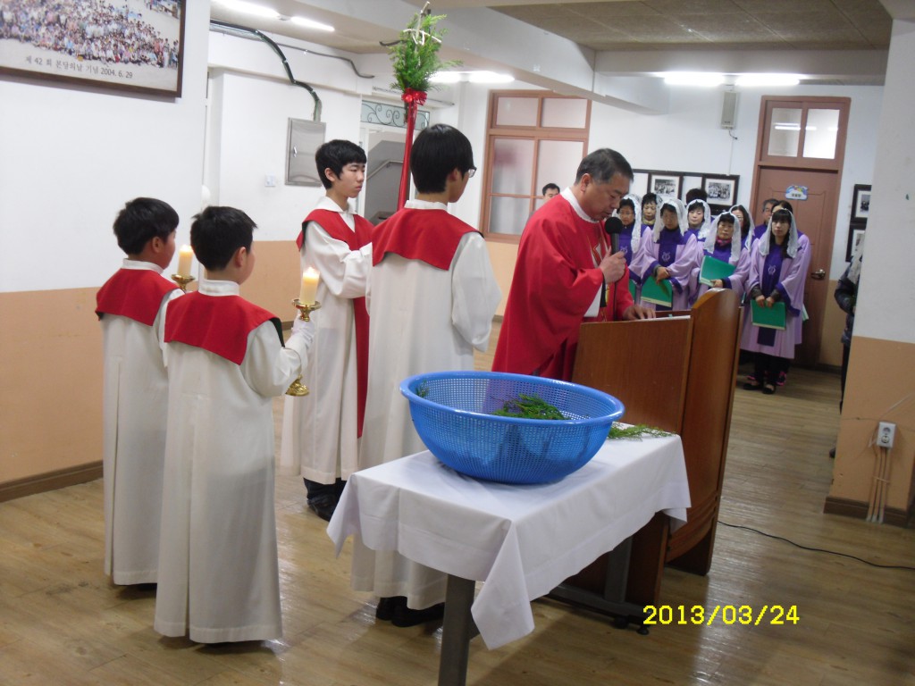 SDC14766.JPG