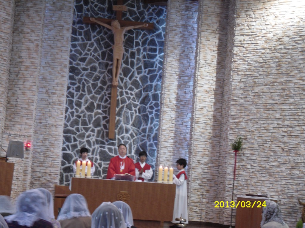 SDC14782.JPG