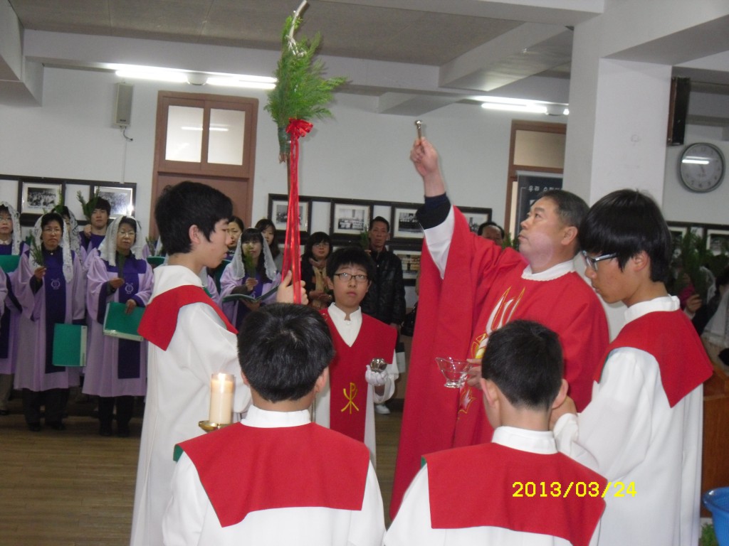 SDC14771.JPG