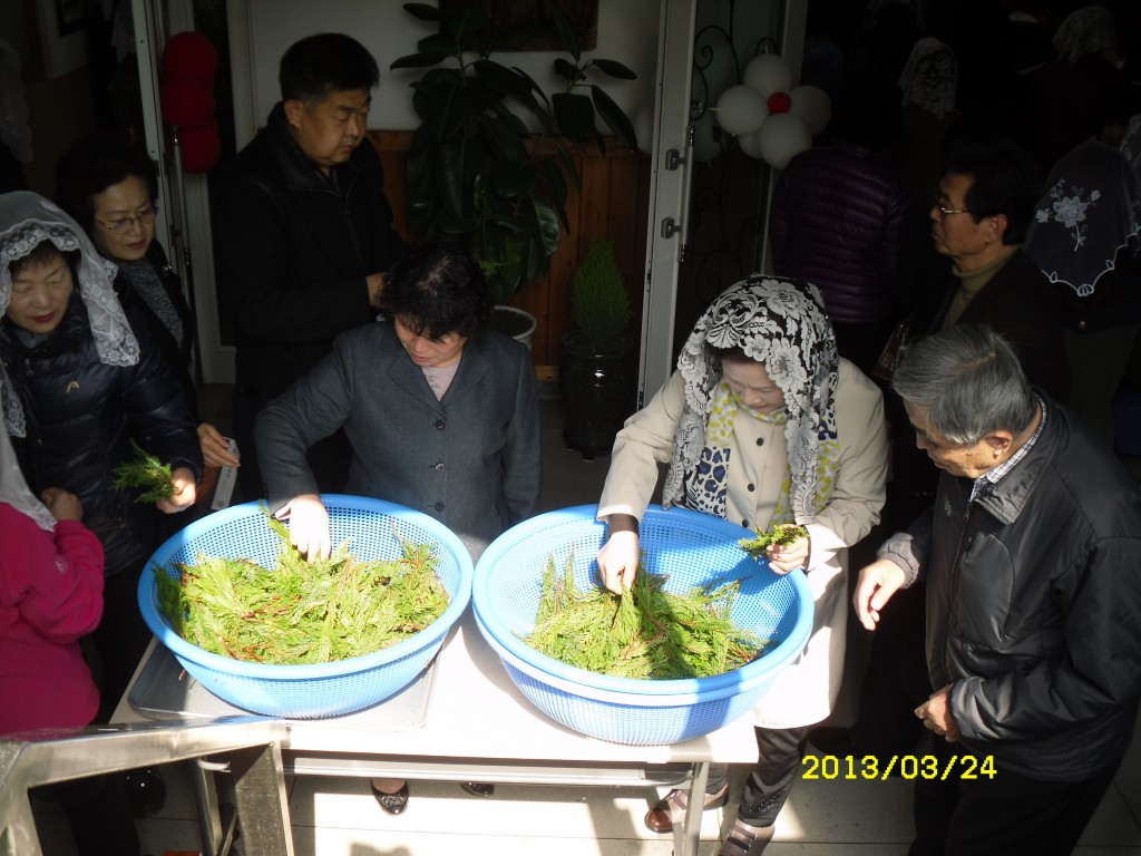 SDC14759.JPG