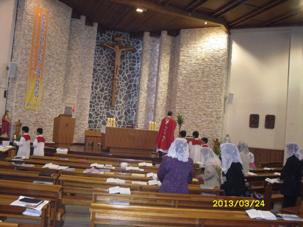 SDC14778.JPG