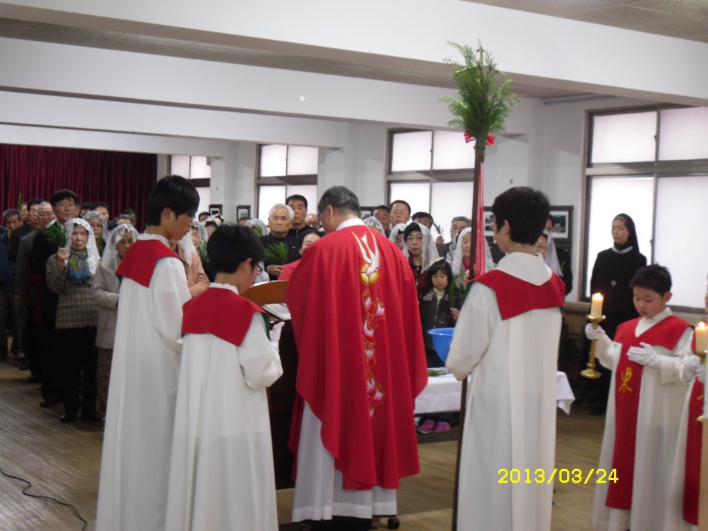 SDC14774.JPG