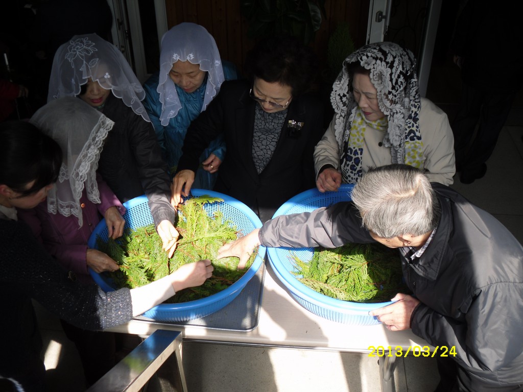 SDC14760.JPG