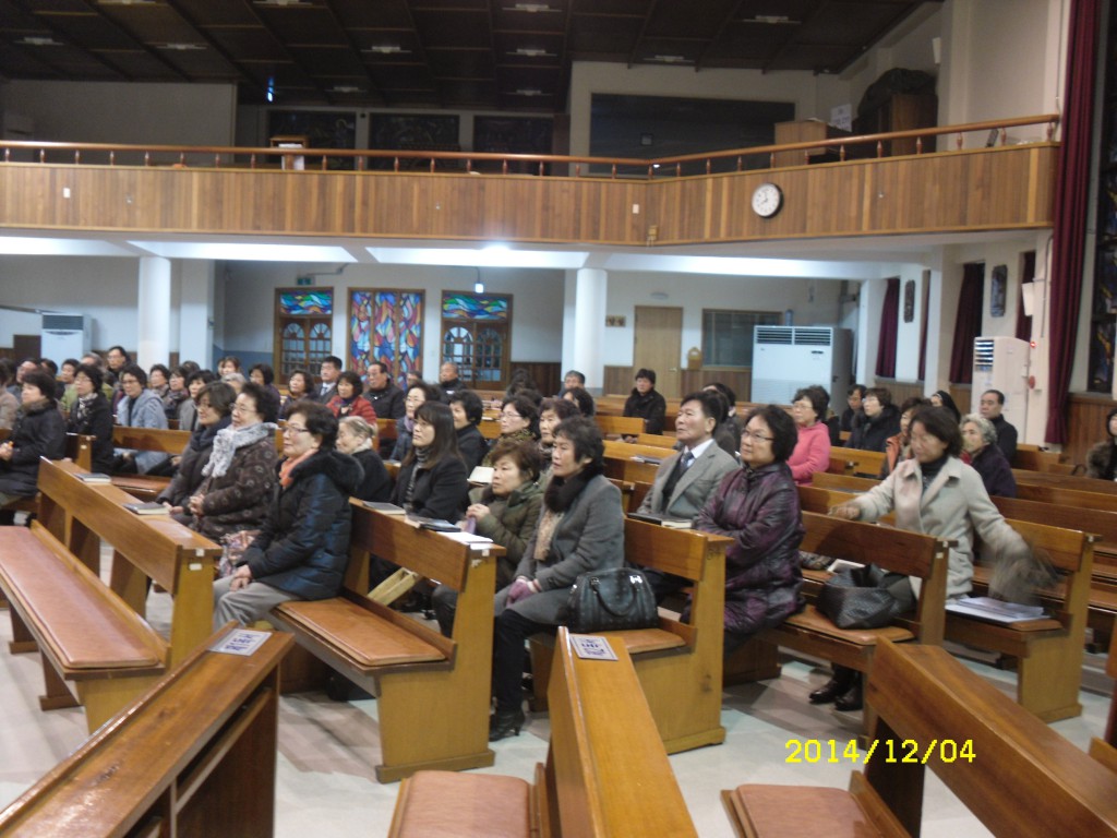 SDC16883.JPG
