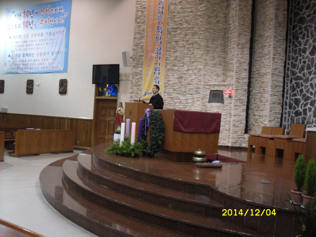SDC16895.JPG