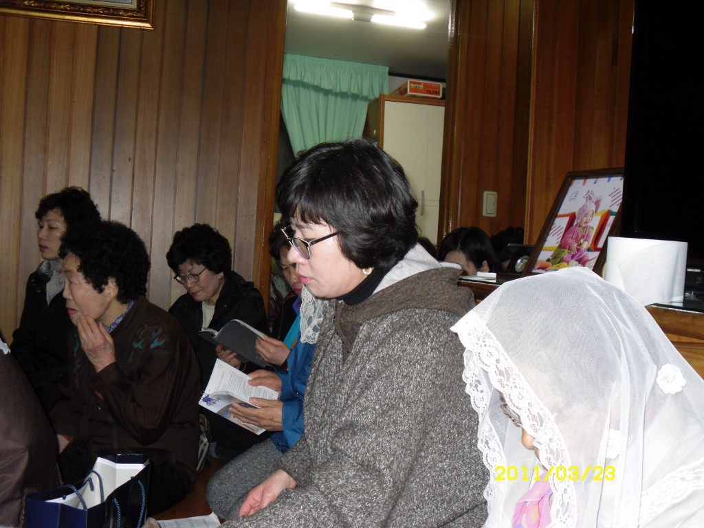 SDC14125.JPG