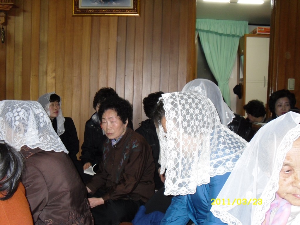 SDC14123.JPG